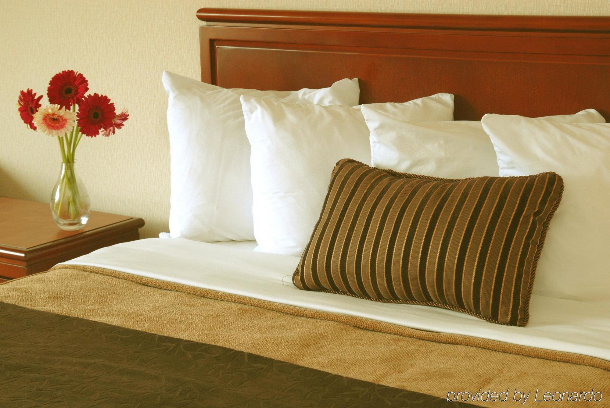 Doubletree By Hilton St. John'S Harbourview Hotel Quarto foto